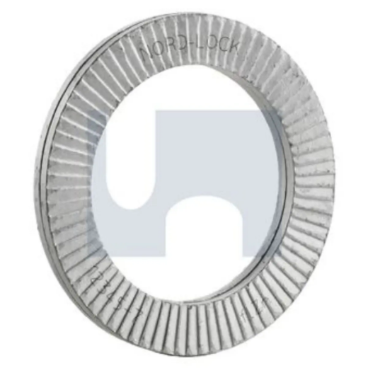 Picture of Washer, Nordlock, 1"