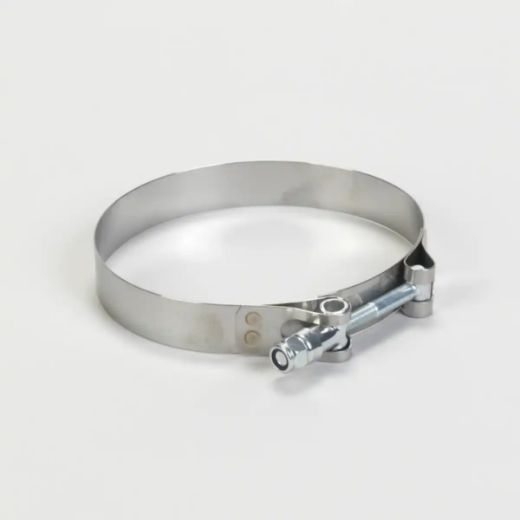 Picture for category T Bolt Clamps