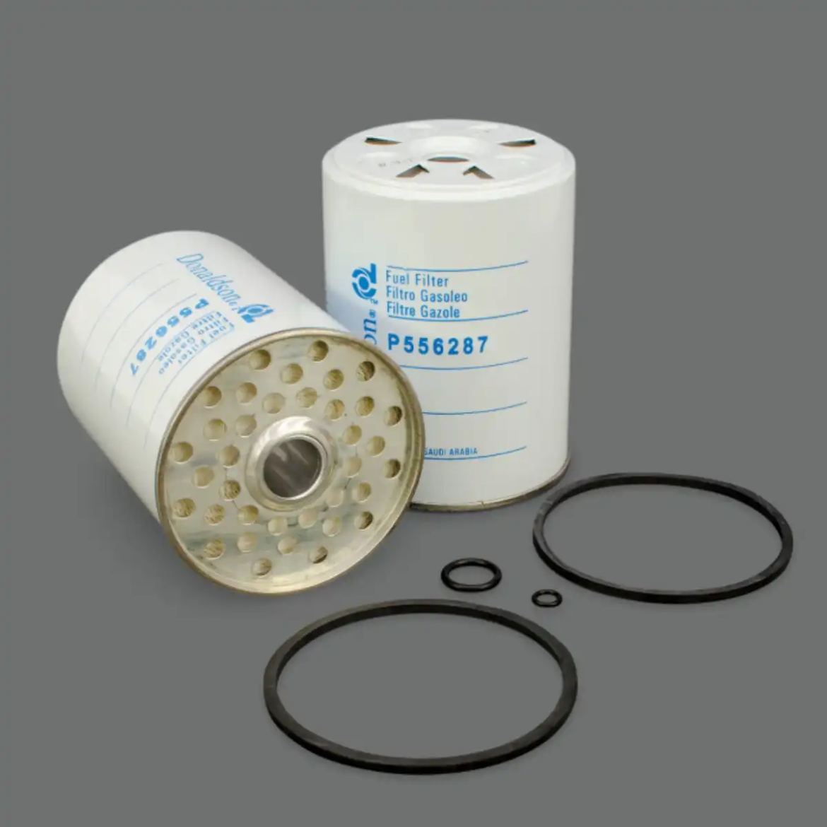 Picture of Filter, Fuel, Cartidge, CAV Style