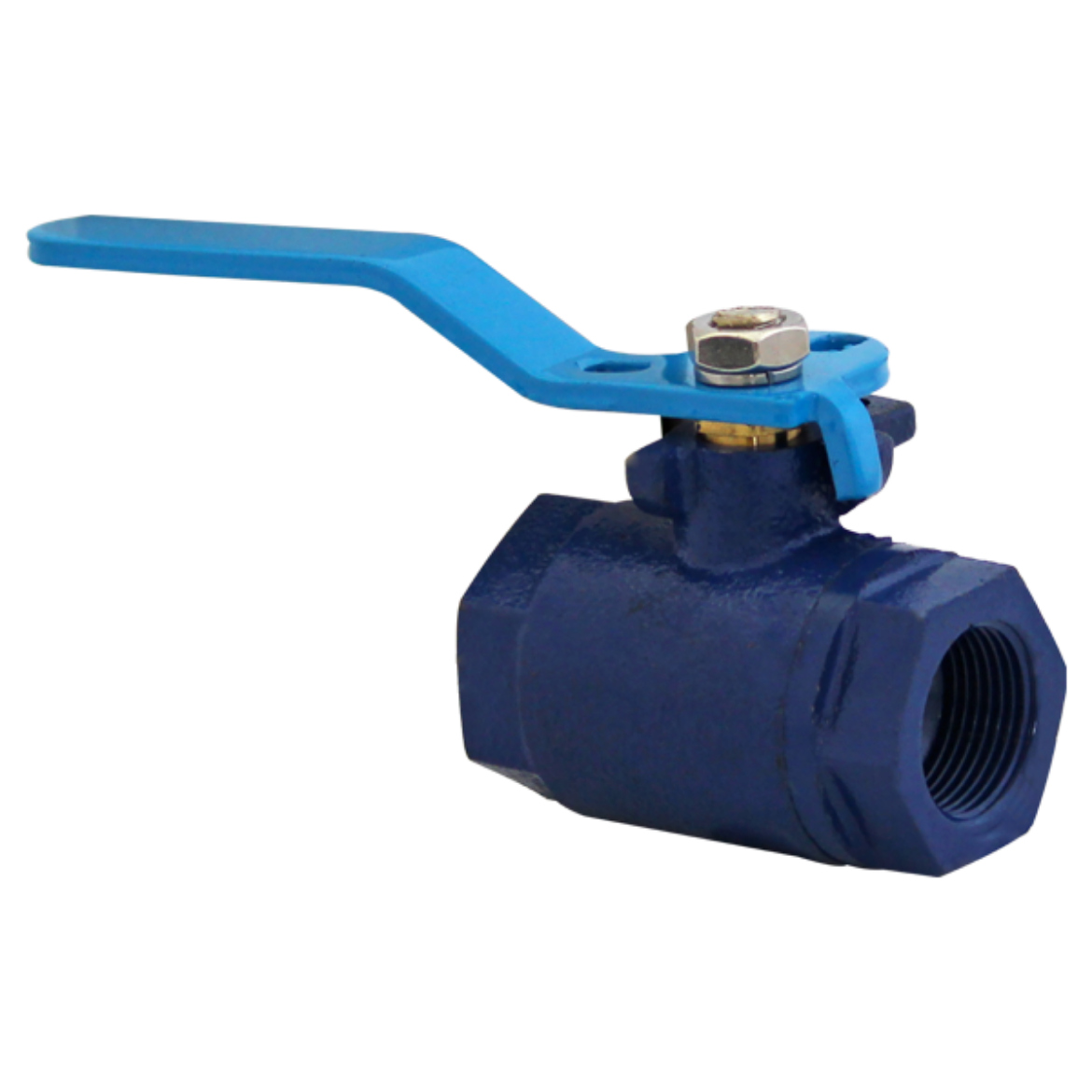 Picture of Ball Valve, Cast Iron, Econovalve, Minsup 1" BSPF, SGI Body, Ball Nitrile Seal, 500PSI WP