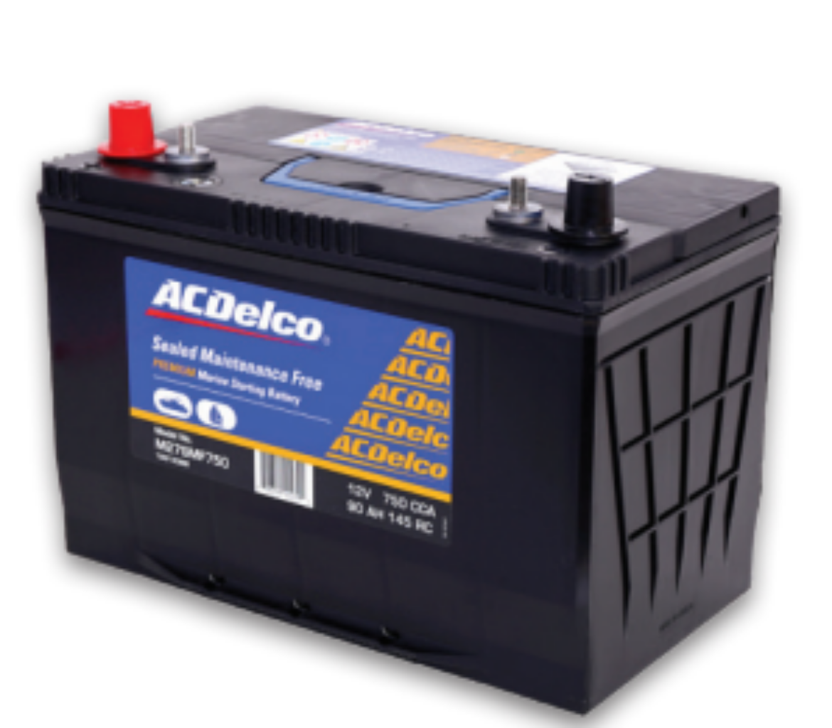 Picture of Battery, ACDelco Marine SMF, Maintenance Free, Deep Cycle, (currently replaces HCM24SMF)