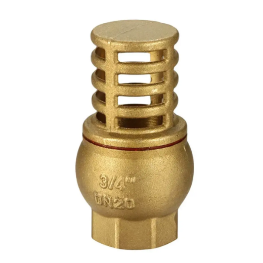 Picture for category Foot Valves